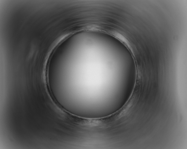 X0000090721090200707201343