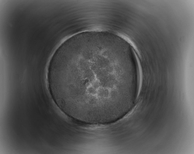 X0000090721091200707201343