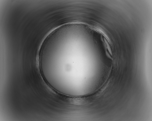X0000090721092200707201343