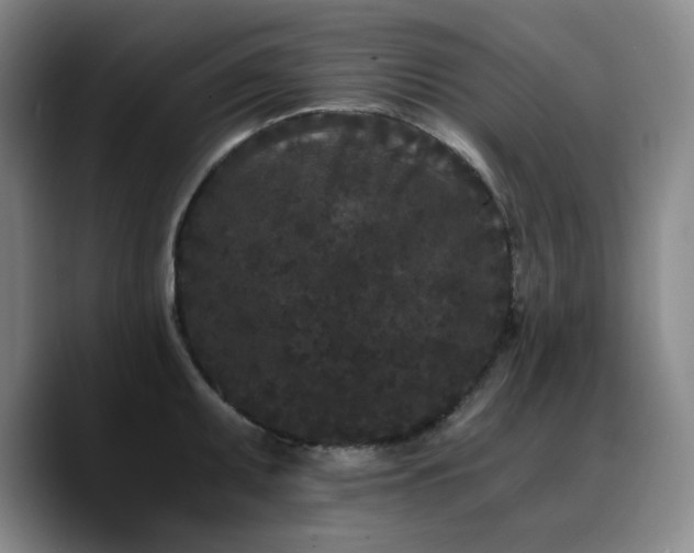 X0000090721095200707201343