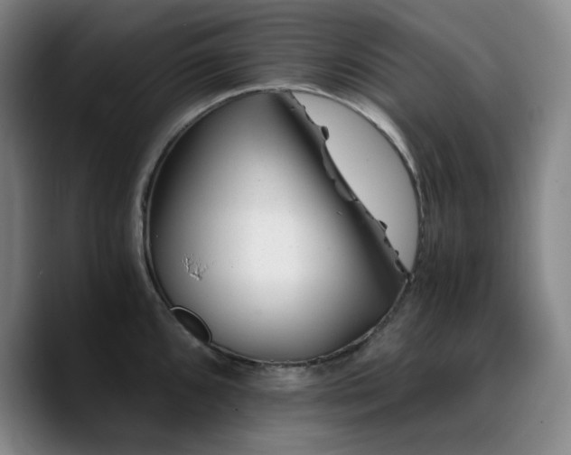 X0000090721096200707201343