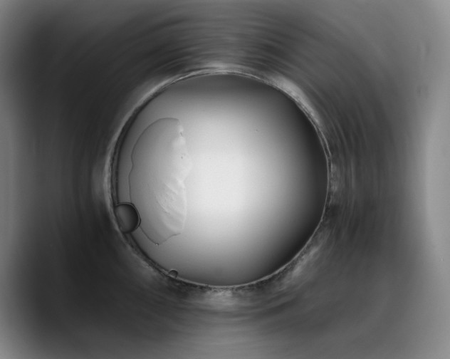 X0000090721098200707201343