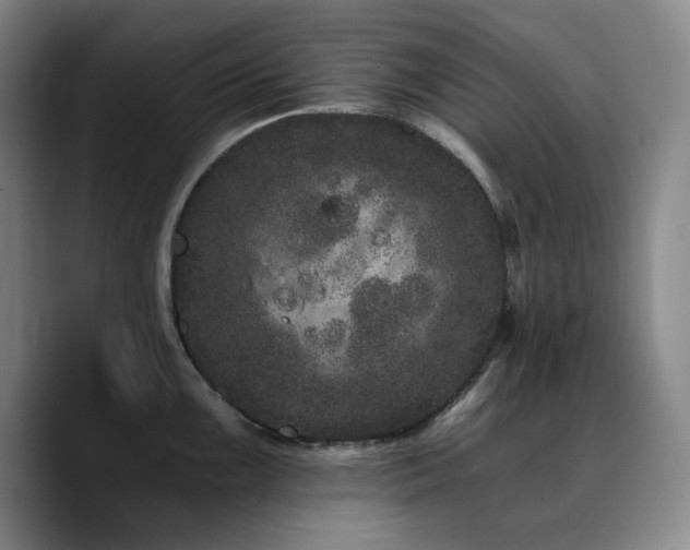 X0000090721099200707201343