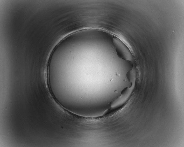 X0000090721100200707201343