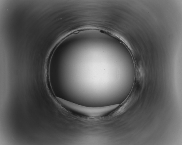 X0000090721101200707201343
