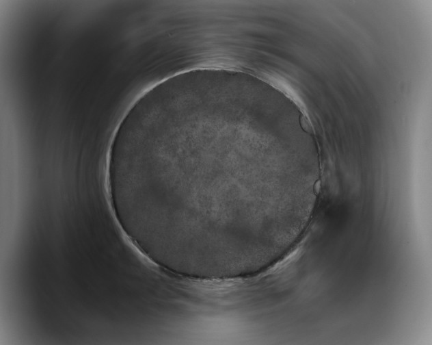 X0000090721103200707201343