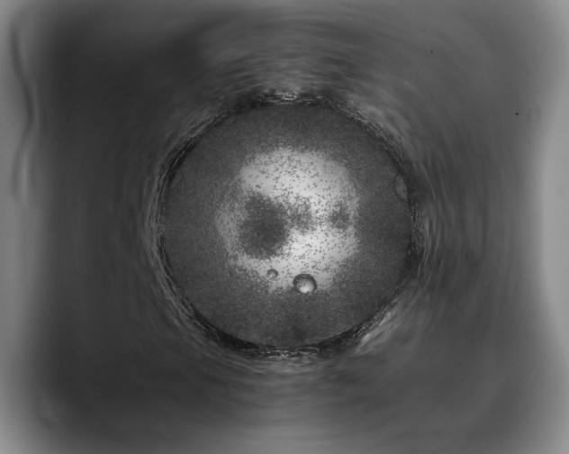 X0000090721105200707201342