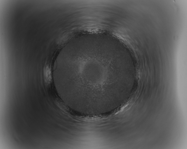 X0000090721106200707201342