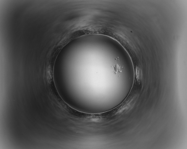 X0000090721107200707201342
