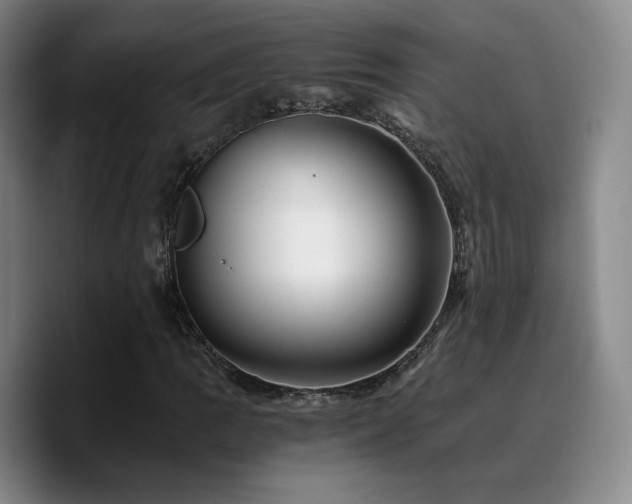 X0000090721109200707201342