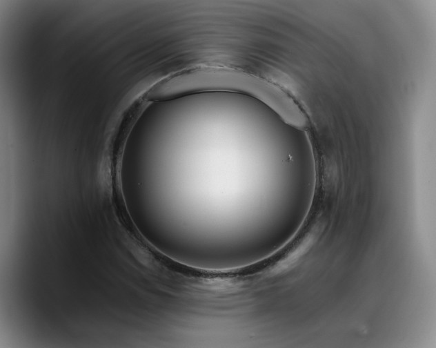 X0000090721114200707201342