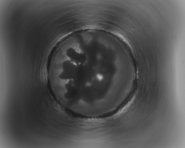 X0000090721117200707201342