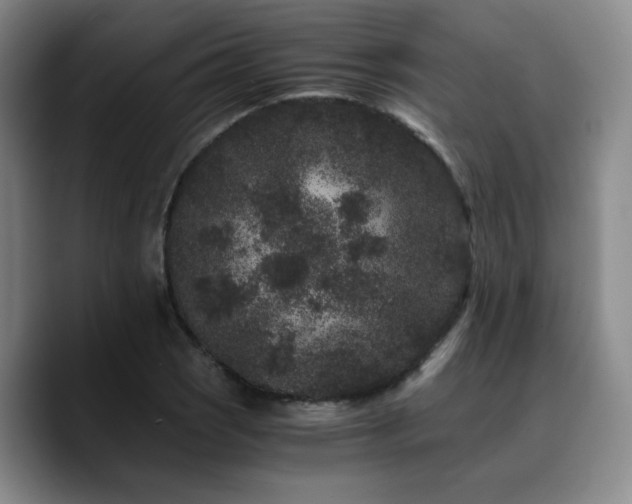 X0000090721121200707201342
