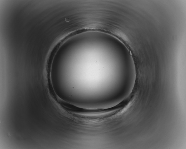 X0000090721122200707201342