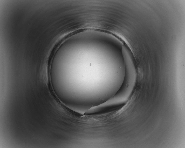 X0000090721123200707201342