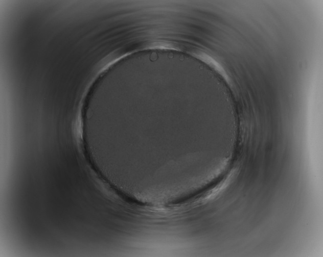 X0000090721125200707201342