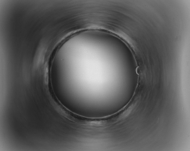 X0000090721126200707201342