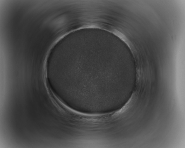 X0000090721127200707201342