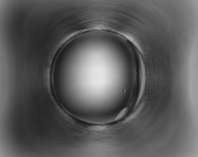 X0000090721134200707201342
