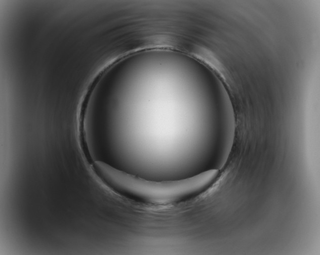 X0000090721135200707201343