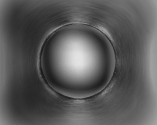 X0000090721136200707201343
