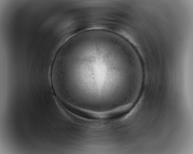 X0000090721137200707201343