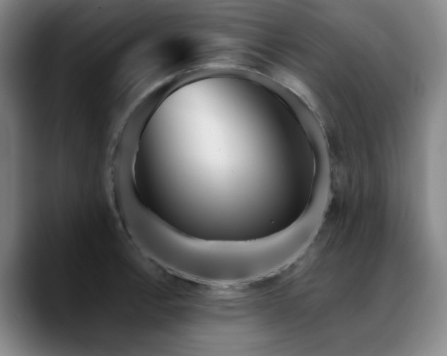 X0000090721138200707201343