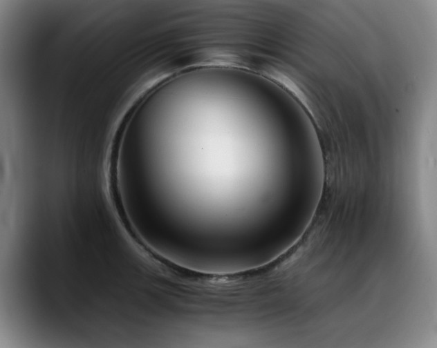 X0000090721139200707201343