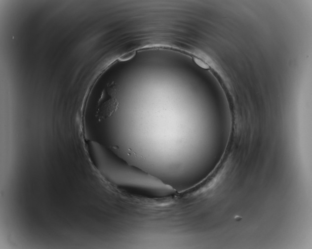 X0000090721145200707201343