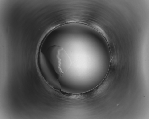 X0000090721146200707201343