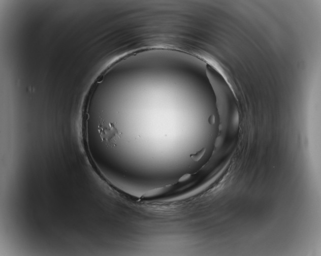 X0000090721147200707201343