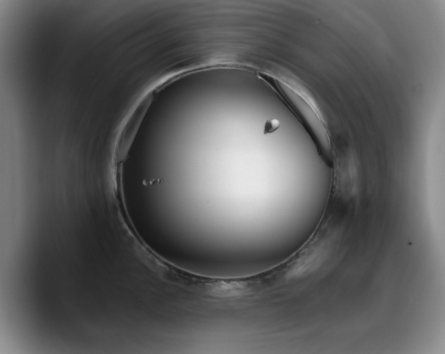 X0000090721148200707201343