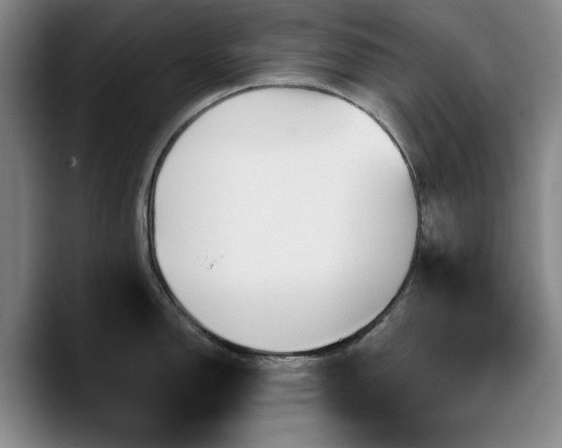 X0000090721150200707201343