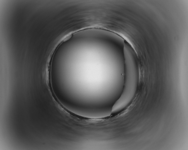 X0000090721151200707201343