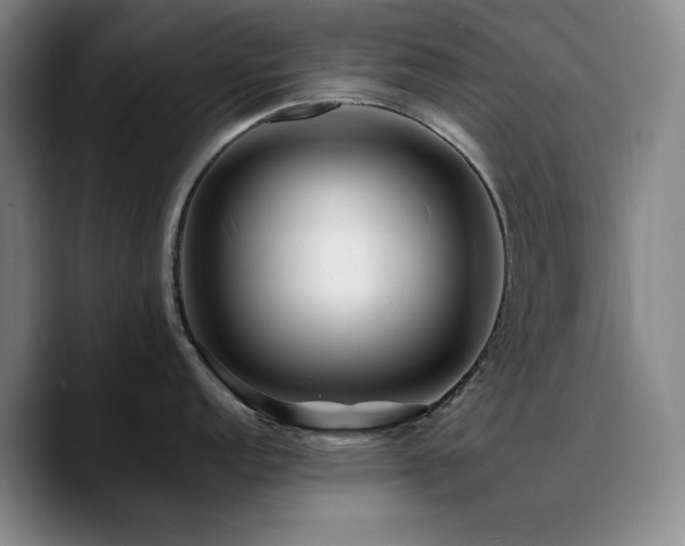X0000090721152200707201343