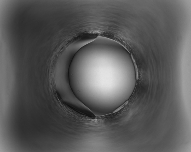X0000090721153200707201342