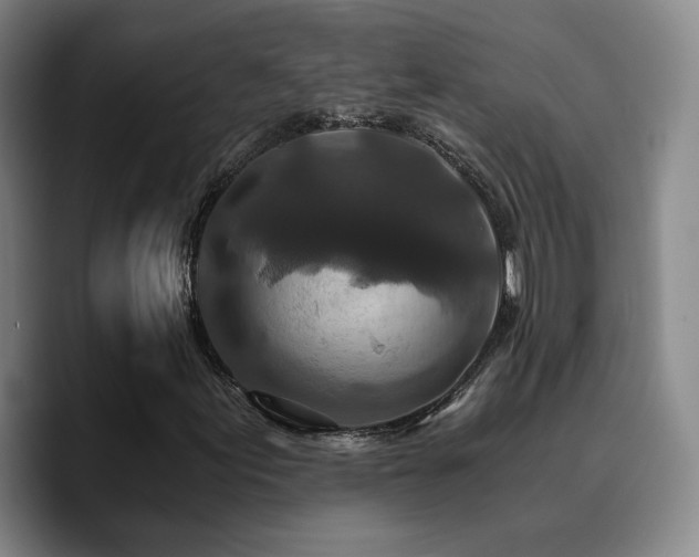 X0000090721155200707201342