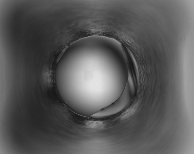X0000090721156200707201342