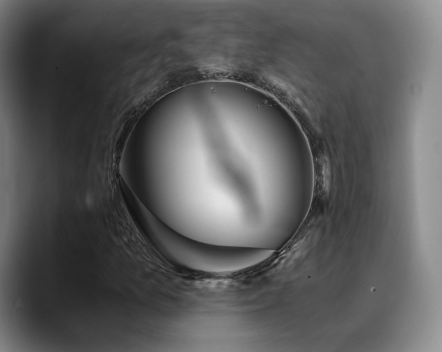 X0000090721157200707201342