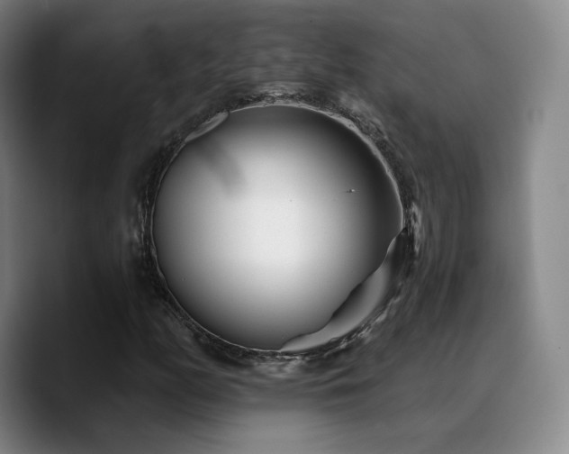 X0000090721158200707201342