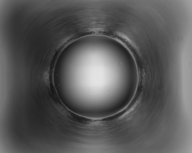 X0000090721162200707201342