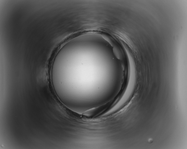 X0000090721164200707201342
