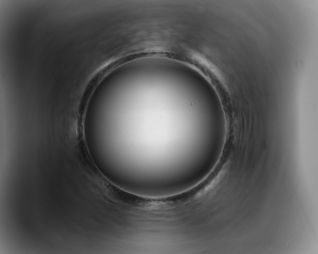 X0000090721166200707201342