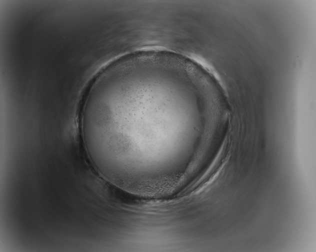 X0000090721167200707201342