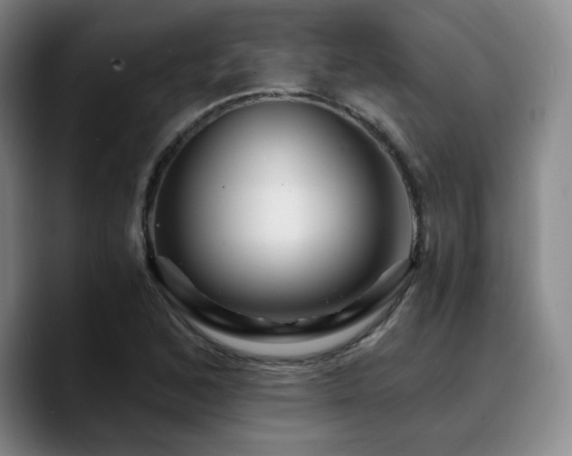 X0000090721168200707201342