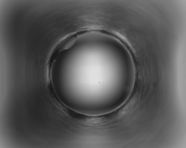 X0000090721171200707201342
