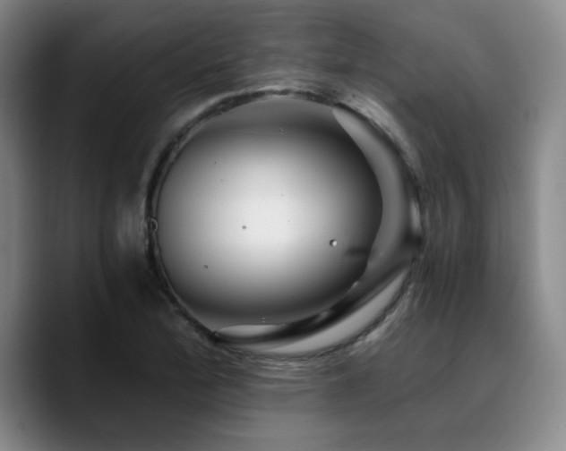 X0000090721172200707201342