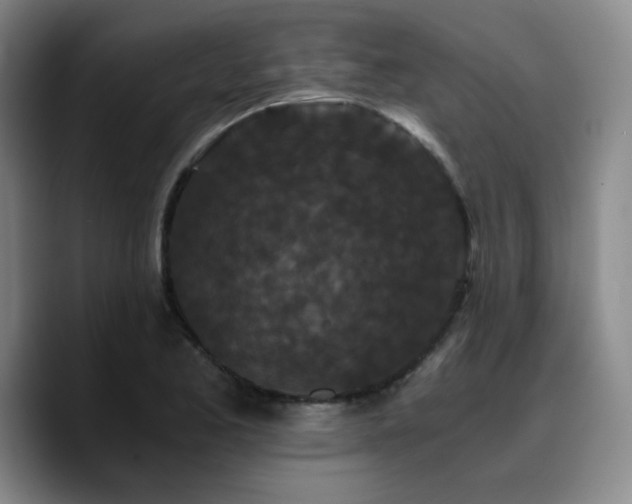 X0000090721173200707201342