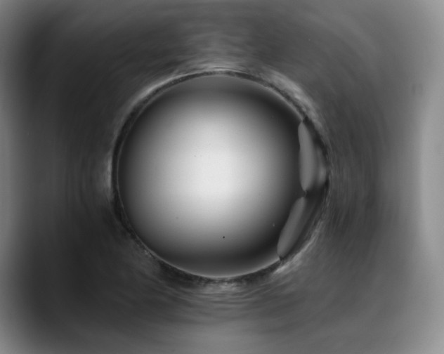 X0000090721174200707201342