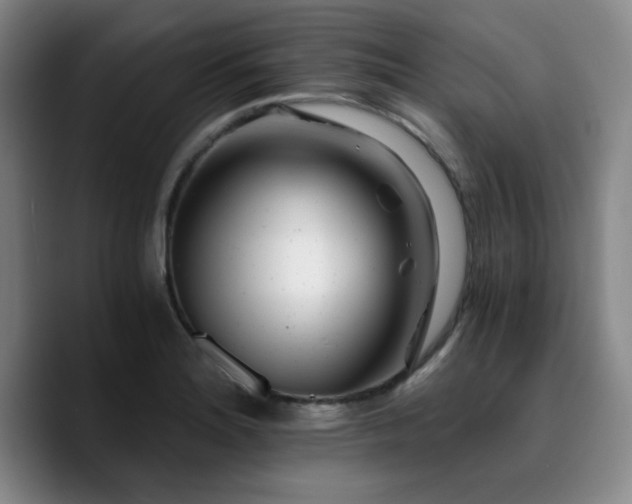 X0000090721180200707201342